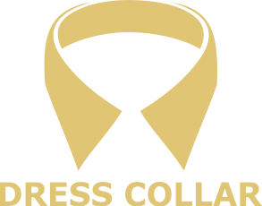 Dress Collar